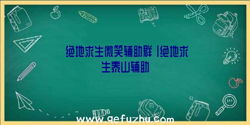 「绝地求生微笑辅助群」|绝地求生泰山辅助